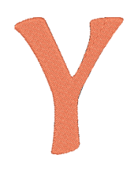 Ali Y