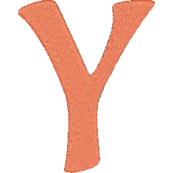 Ali Y