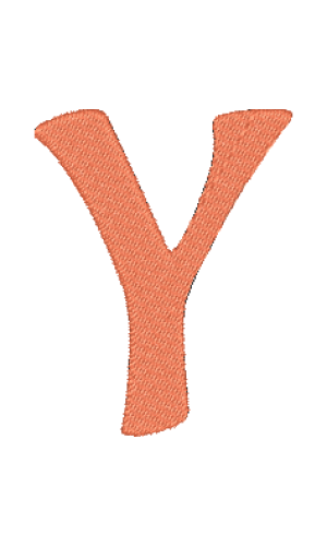 Ali Y