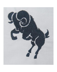 Aries