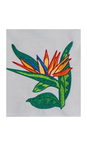 Bird Of Paradise 01