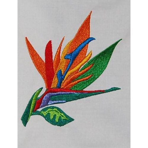 Bird Of Paradise 07
