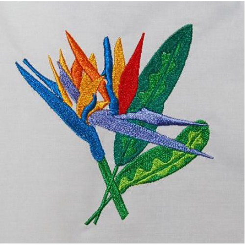 Bird Of Paradise 08