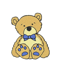 Boy Teddy
