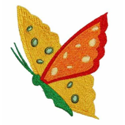 Butterfly 04