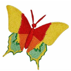 Butterfly 06