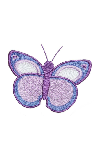 Butterfly 09