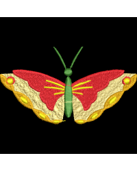 Butterfly 10