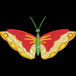 Butterfly 10