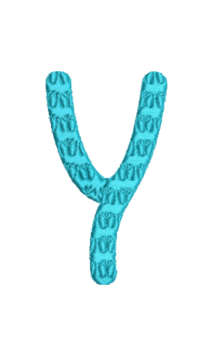 Butterfly Font Y