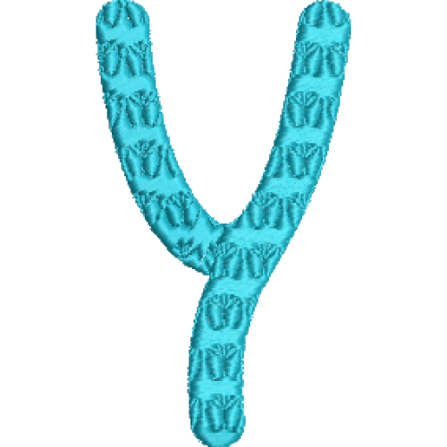 Butterfly Font Y