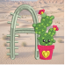 Cactus A