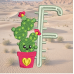Cactus F