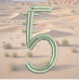 Cactus Font 5