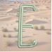 Cactus Font E