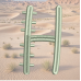 Cactus Font H
