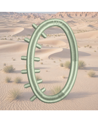 Cactus Font O