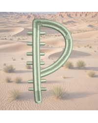 Cactus Font P