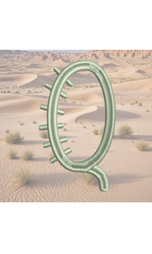 Cactus Font Q