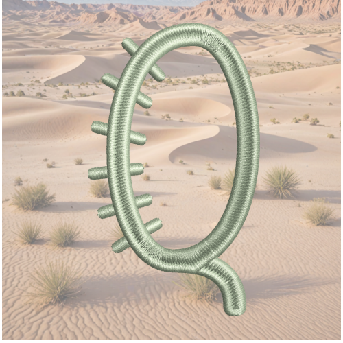 Cactus Font Q