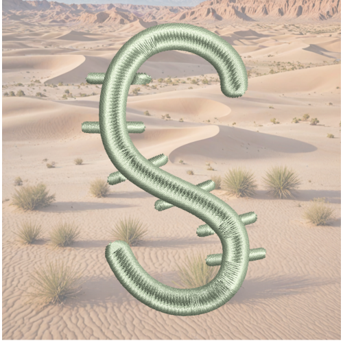 Cactus Font S