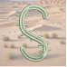 Cactus Font S