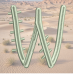 Cactus Font W