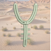 Cactus Font Y