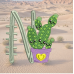 Cactus N