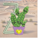 Cactus Z