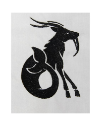 Capricorn