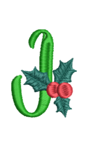 Christmas Fun J