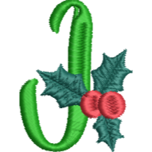 Christmas Fun J