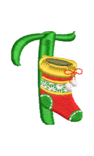 Christmas Fun T