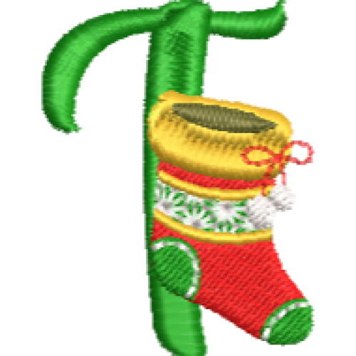 Christmas Fun T