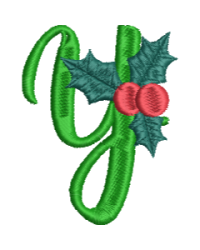 Christmas Fun Y