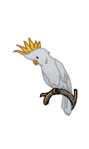 Cockatoo Cockatoo
