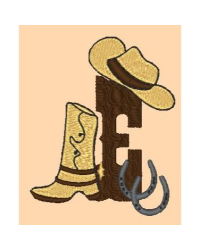 Cowboy E