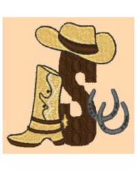 Cowboy S