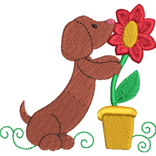 Dachshund 04