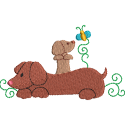 Dachshund 05
