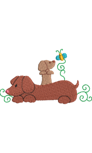 Dachshund 05