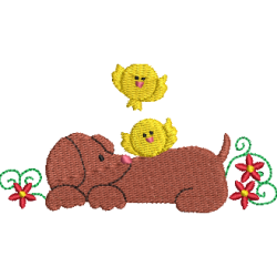 Dachshund 07