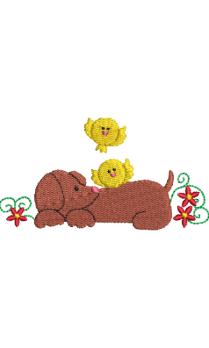 Dachshund 07