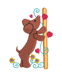 Dachshund 1
