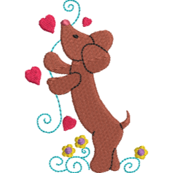 Dachshund 10
