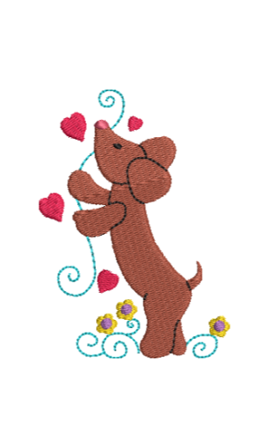 Dachshund 10