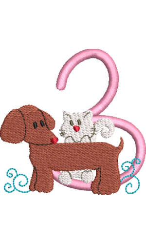 Dachshund 3
