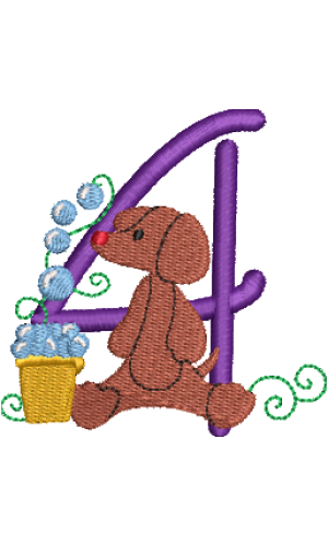 Dachshund 4