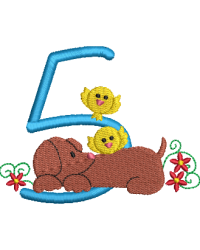 Dachshund 5